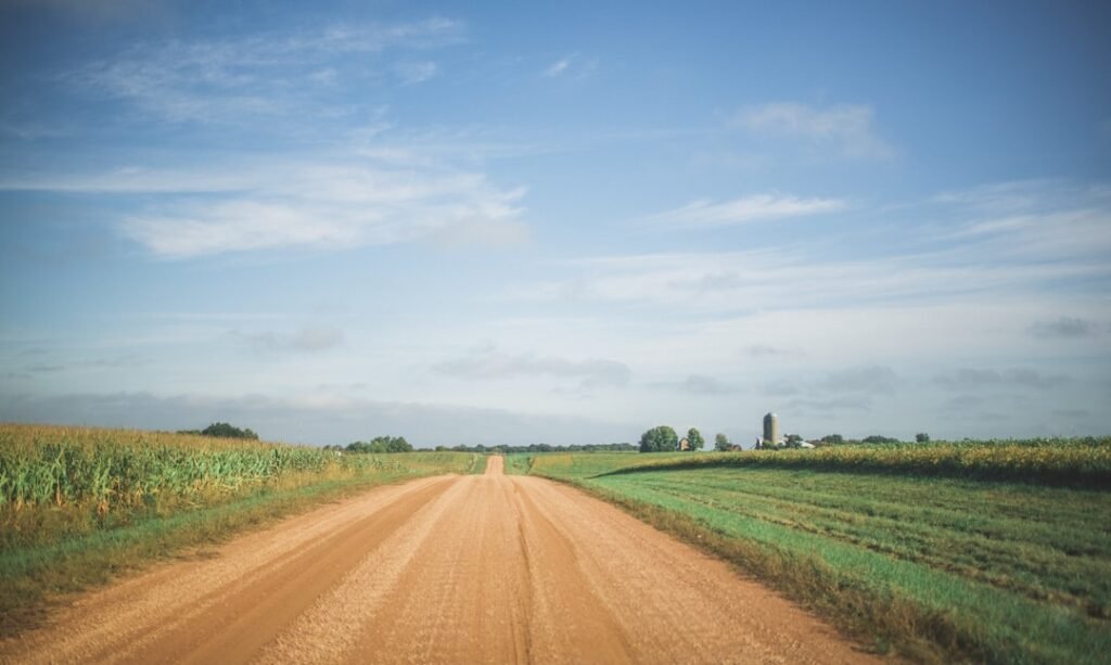 Rural road cutting through green agricultural fields representing connectivity and infrastructure development in farmland corridors near Bangalore