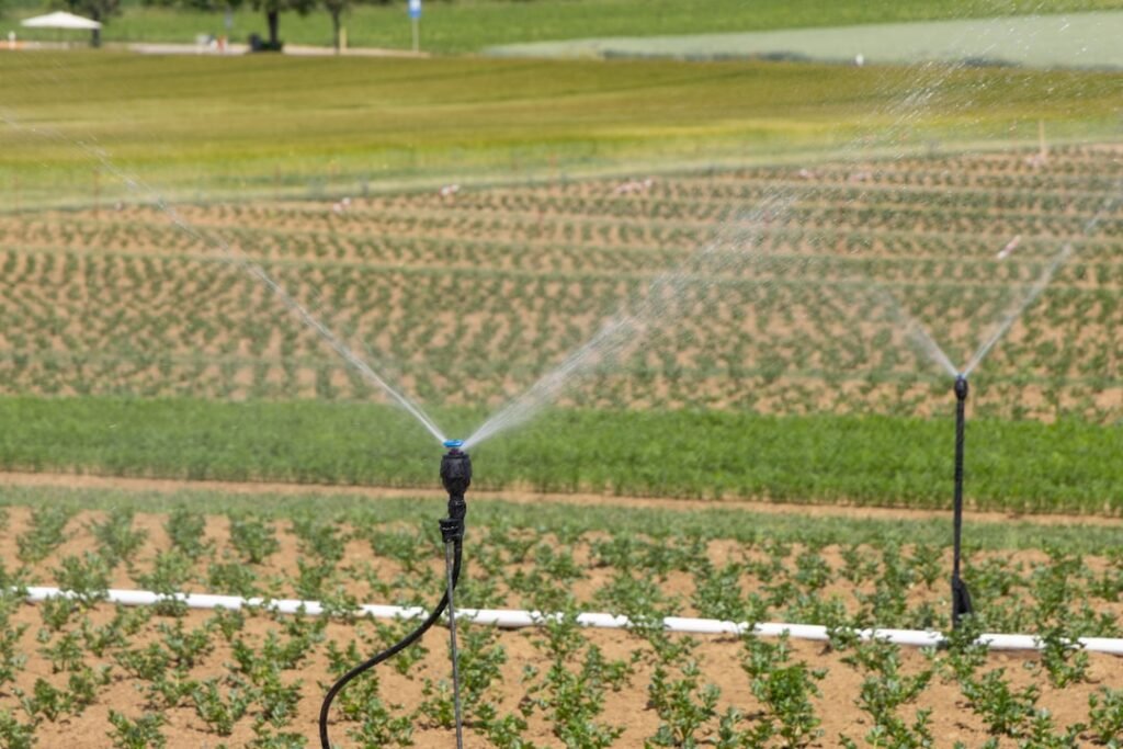 Modern drip irrigation system in managed farmland showing professional agricultural infrastructure