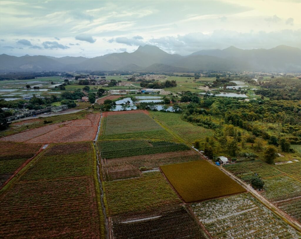 Aerial view of well-organized agricultural fields showing systematic farm planning and layout