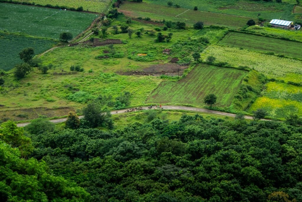 Panoramic view of lush green farmland and hills representing the scenic Kanakapura Road corridor near Bangalore