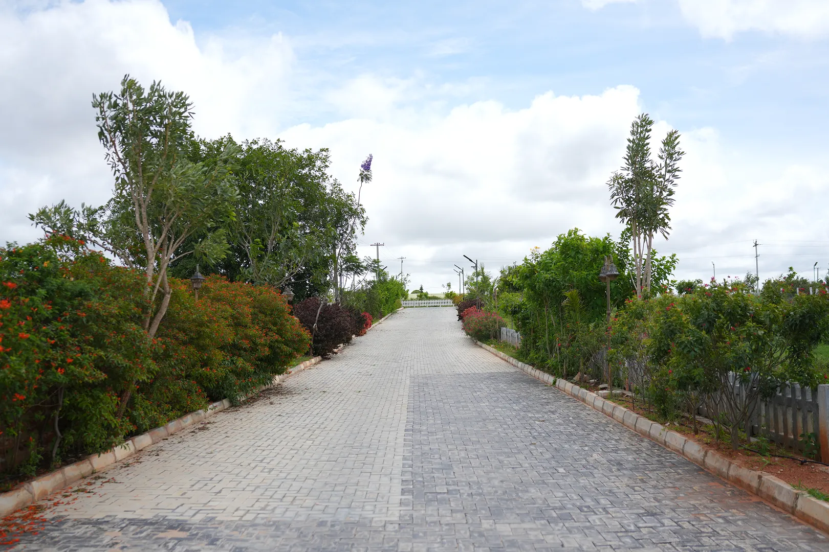 green vista 19