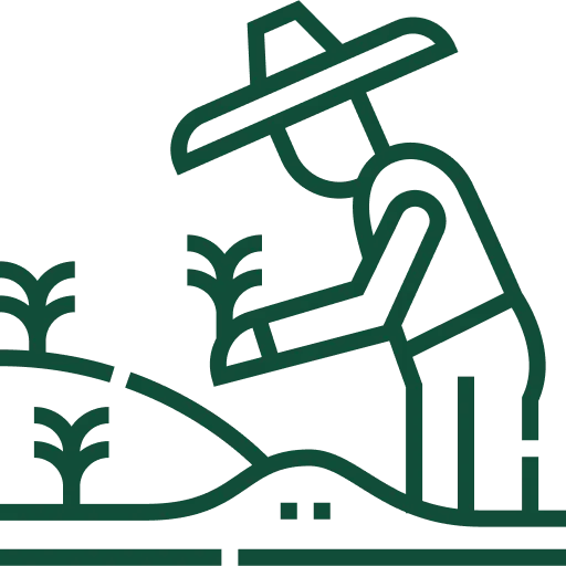 infrastructure icon